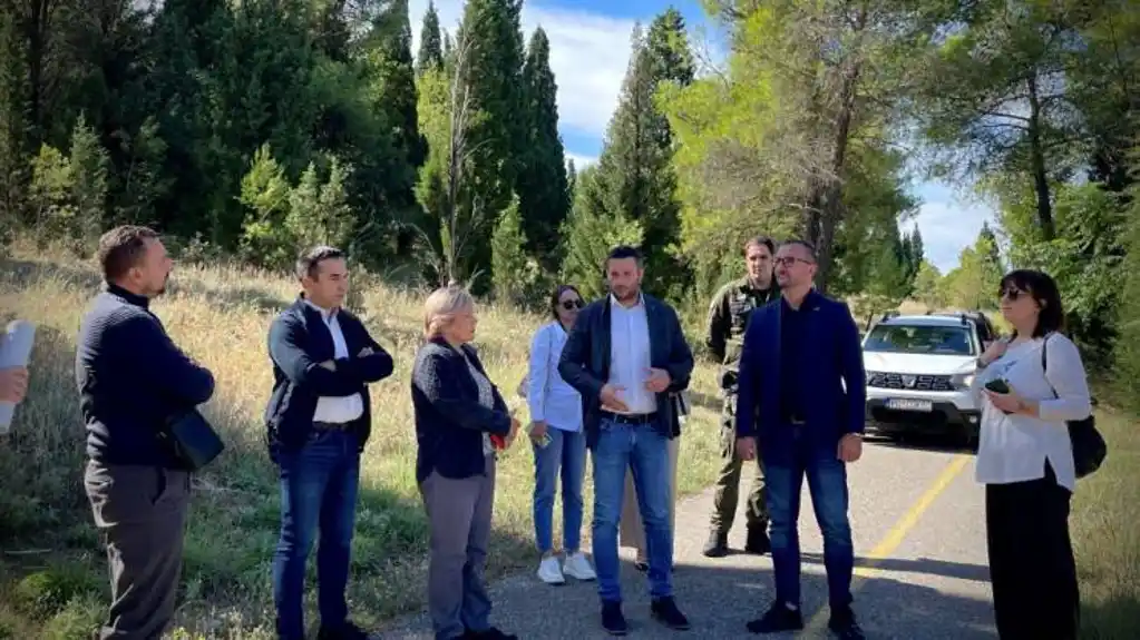 Opožarena stabla i biljni otpad na Gorici biće uklonjeni u skladu sa svim ekološkim standardima