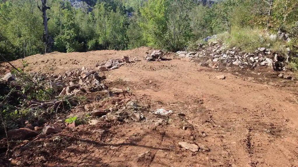 Traže odgovornost nadležnih službi i pojedinaca zbog zakopanih krava