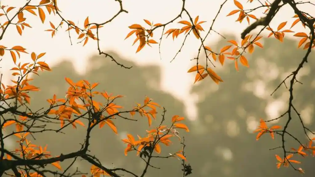 Danas u većem delu zemlje oblačno, temperatura do 28 stepeni