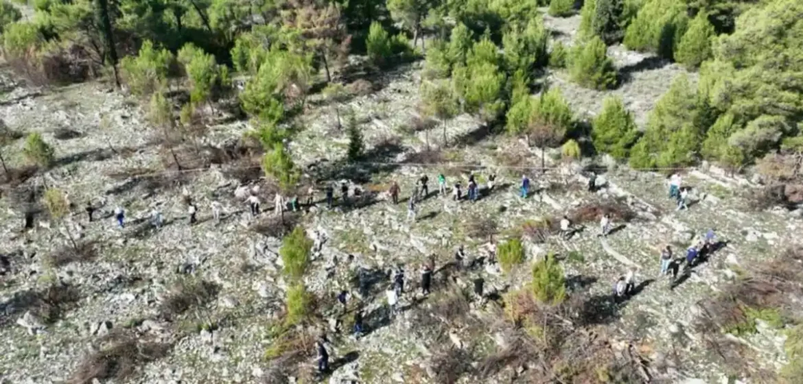 Sa brda Gorica uklonjeno oko 30 metara kubnih opožarenih stabala