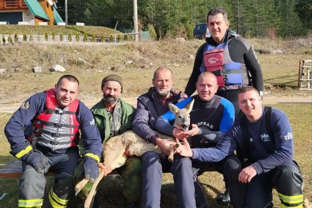 Spasili srnu koja se zaglavila u ledu na jezeru