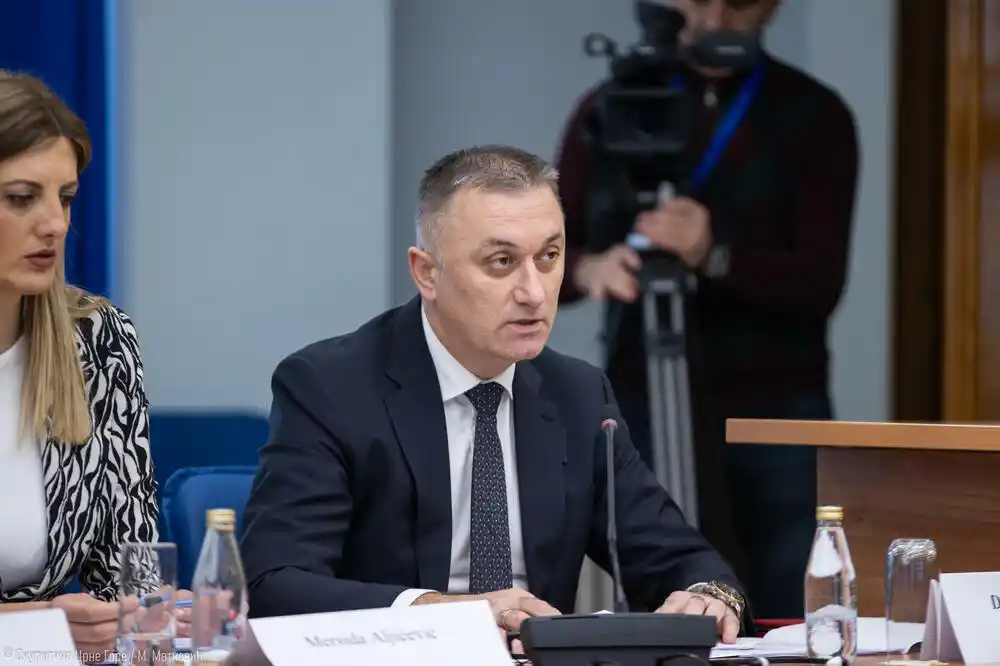 Gutić: Psiholozi u Crnoj Gori će prvi put raditi u profesionalnim i zakonskim okvirima