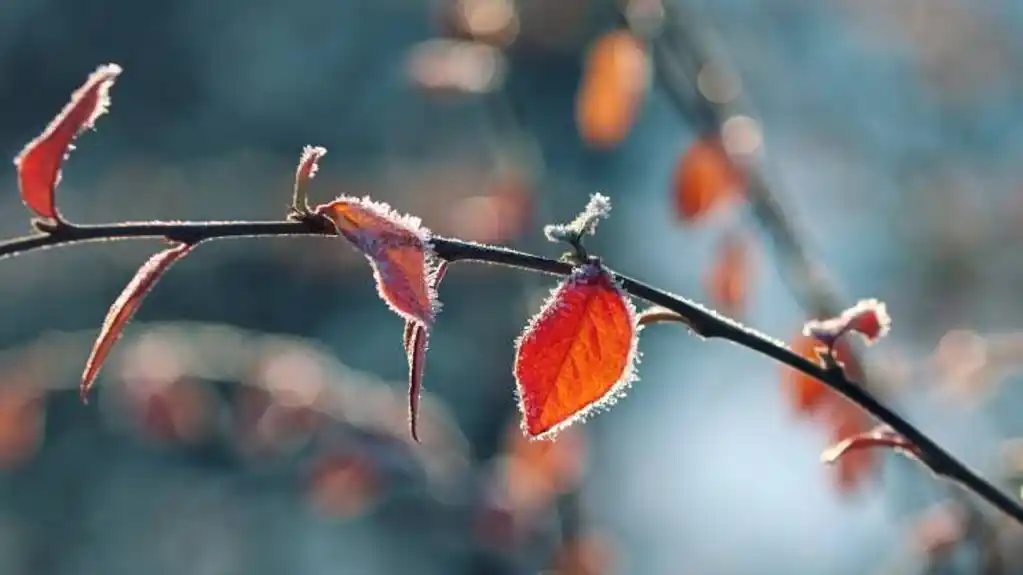 Danas pretežno sunčano, temperatura do 15 stepeni