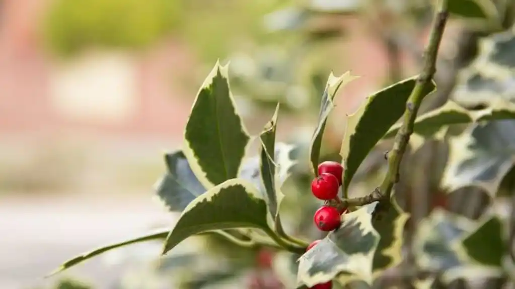 Danas pretežno sunčano, temperatura do 19 stepeni