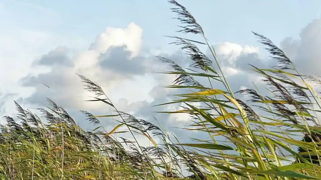 Obucite se slojevito, danas vetar i temperatura do 12 stepeni