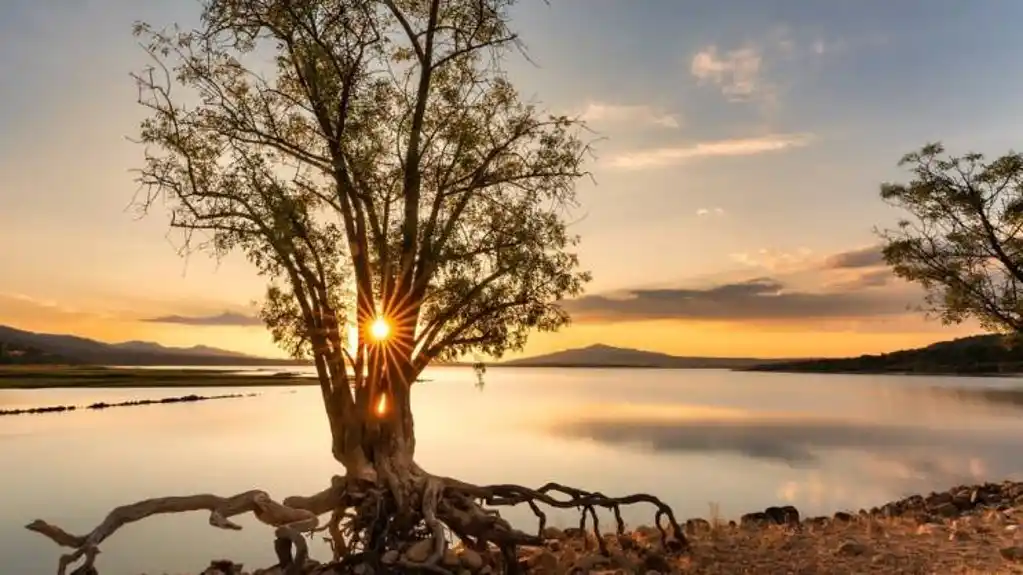 Danas pretežno sunčano, temperatura do 16 stepeni