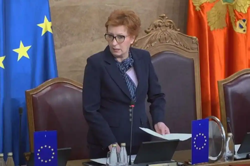 U Skupštini rasprava o poreskim, penzionim i platnim propisima
