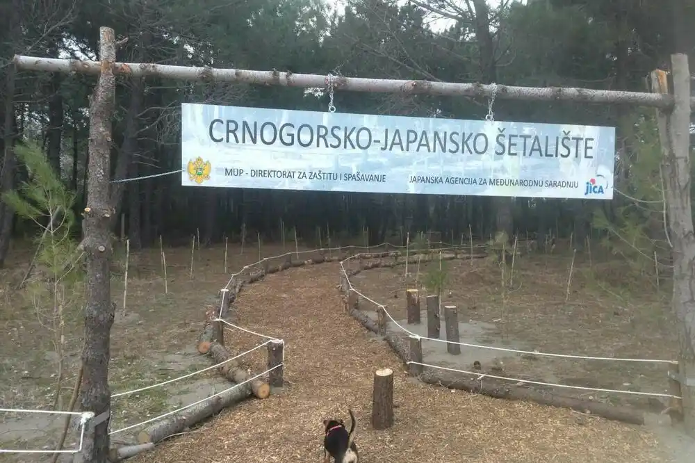 Ulcinj: Crnogorsko-japansko šetalište u Borovoj šumi