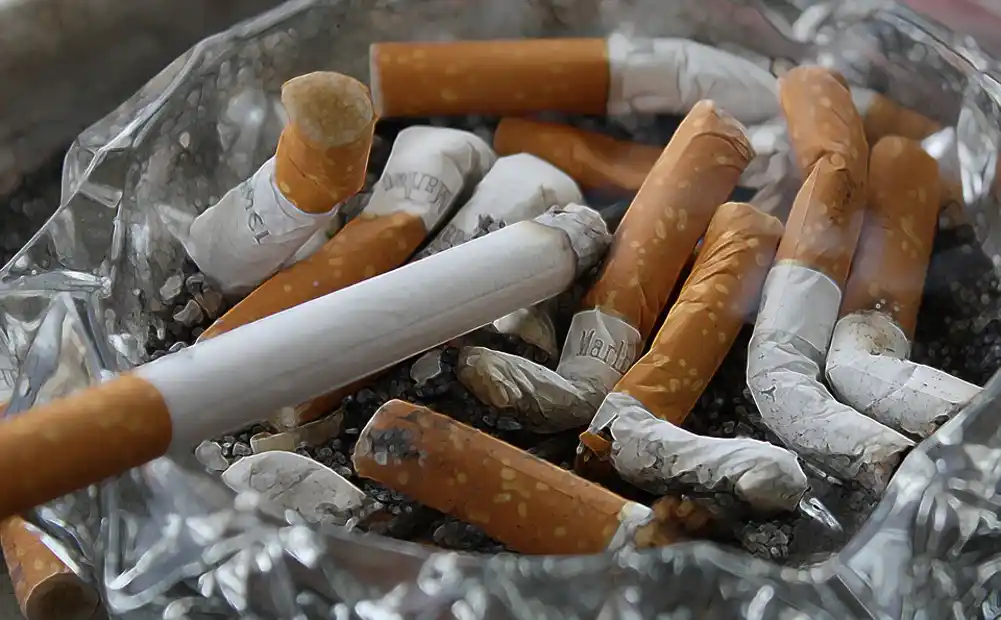 Stiže novi Anketni odbor: Parlamentarna većina će se baviti i postupanjem države u slučajevima šverca cigareta!