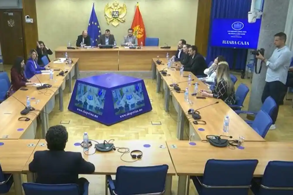 Amandman Pejović bez zelenog svjetla Odbora za međunarodne odnose i iseljenike