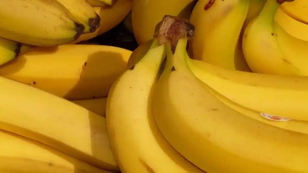 Banane prolaze SEDAM faza zrelosti, EVO šta svaka nijansa označava