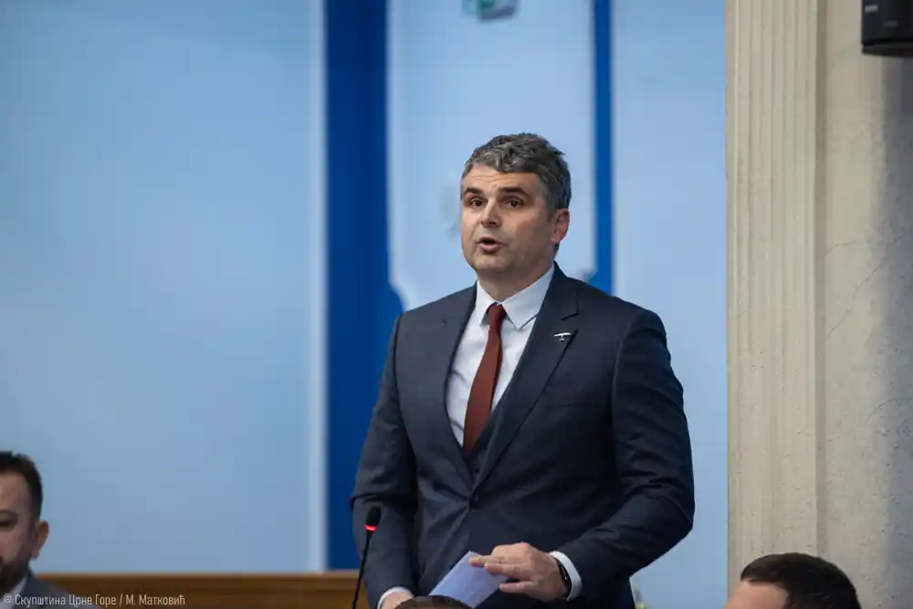 Čapuni: Neće biti diplomatskog blama ako se ovo glasanje odloži, sporazumom ugrožavamo i evropsku perspektivu