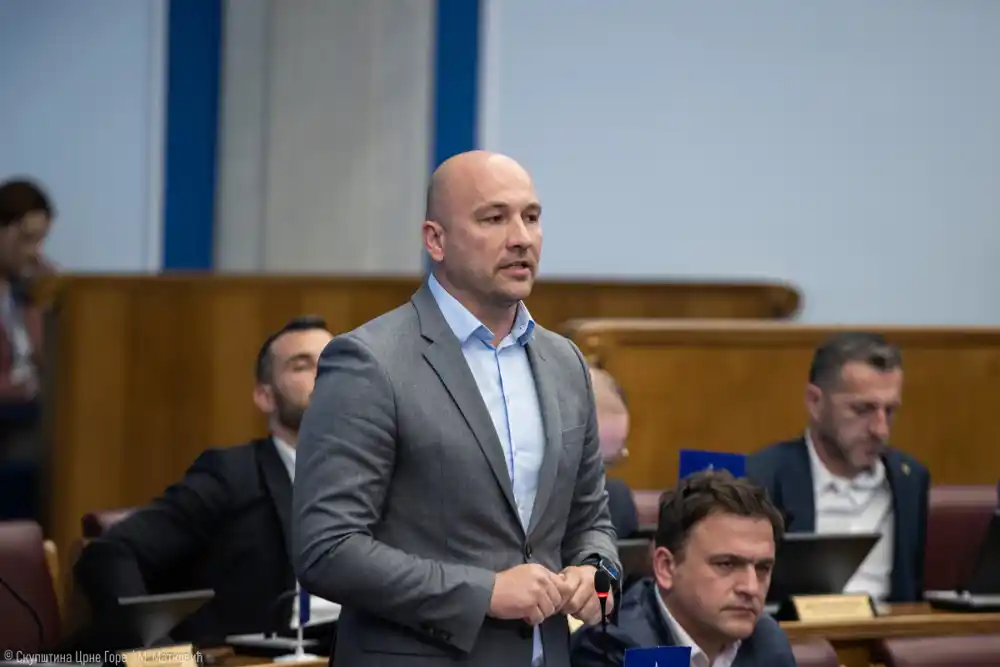 Pižurica: Potpredsjednik SD-a Orlandić ima potpuno suprotno mišljenje od svog partijskog kolege Borisa Mugoše