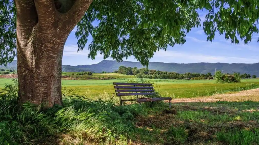 Danas sunčano vrijeme, temperatura do 23 stepena