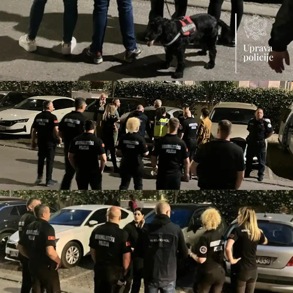 Crnogorska i švedska policija u zajedničkoj akciji “Wallet” zaplijenili novac, nakit i drogu