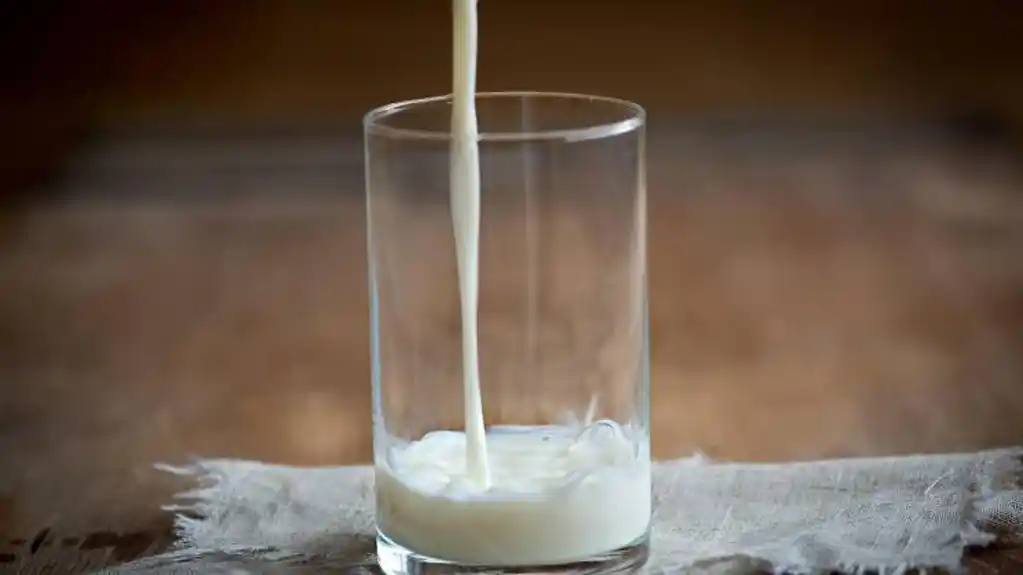 Da li je BILJNO MLIJEKO zaista ZDRAVIJE?
