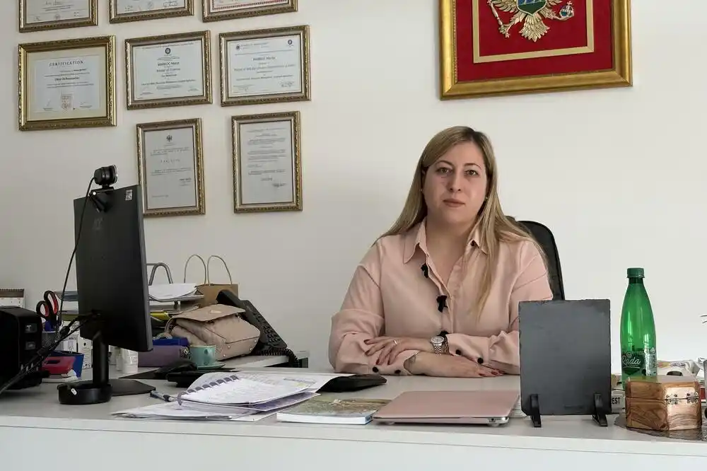 Direktorica Kuće maslina Marija Markoč: Ulje stiže na jesen, čeka se ovogodišnji rod
