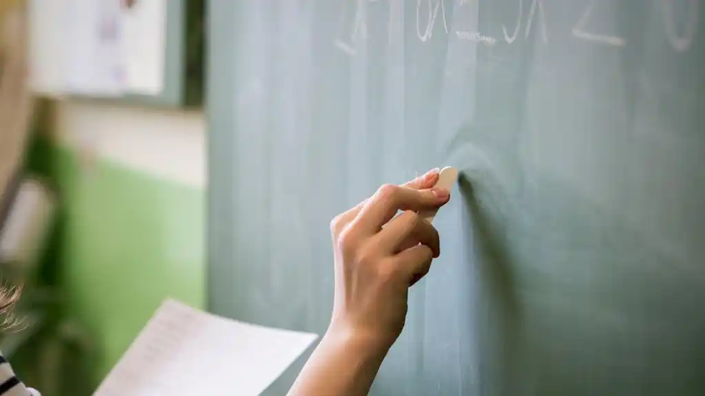 Ombudsman: Na 1.769 đaka samo 769 asistenata za podršku