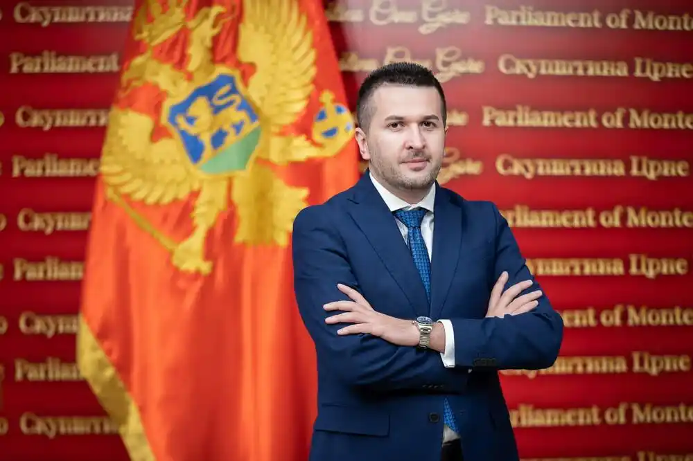 Pejović: Spoljnopolitički odbor Evropskog parlamenta potvrdio da je Crna Gora najnapredniji kandidat za članstvo u EU