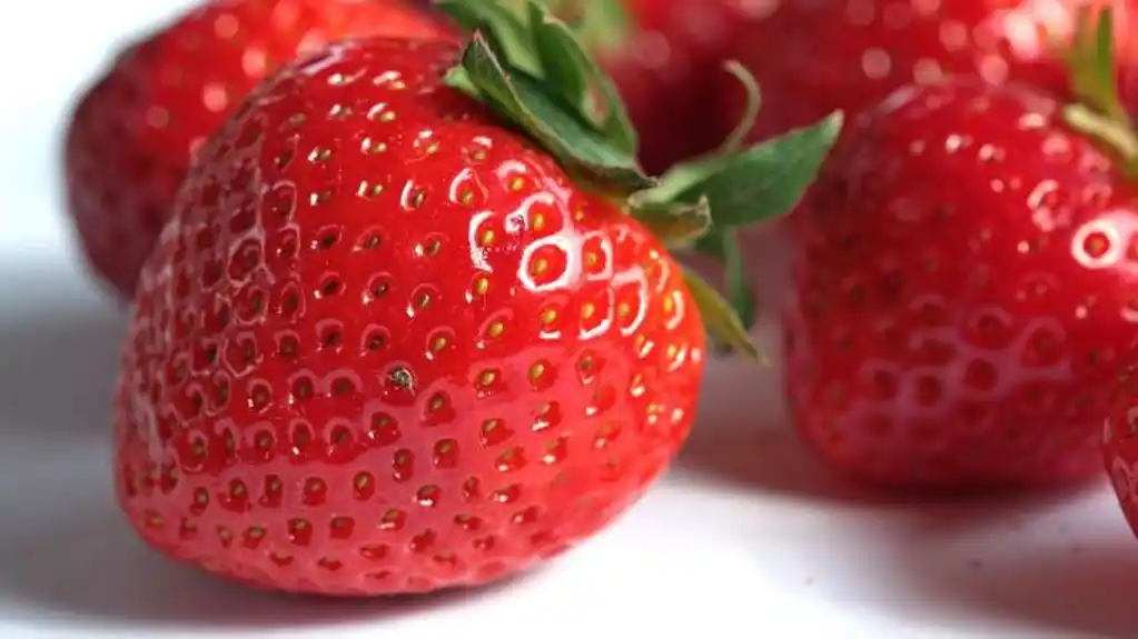 Peteljke od JAGODA  su pune vitamina – Evo zašto ih ne treba BACATI