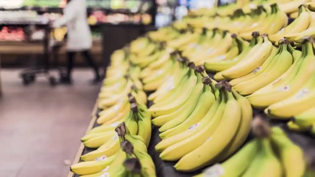 Prijeti li NESTAŠICA banana?
