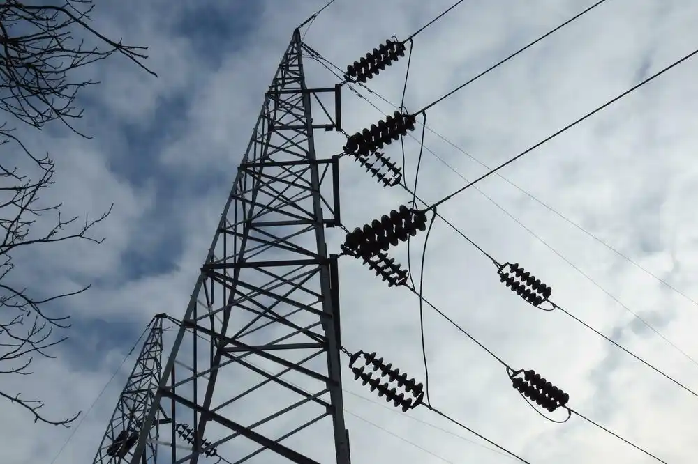 Škopelja kažnjen jer je pisao poslanicima: Neobičan postupak u Regulatornoj agenciji za energetiku