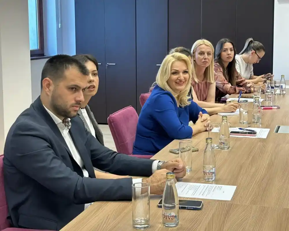 Borovinić Bojović inicirala izradu Akcionog plana za podršku žrtvama nasilja: „Borba protiv nasilja nije izbor, već obaveza“