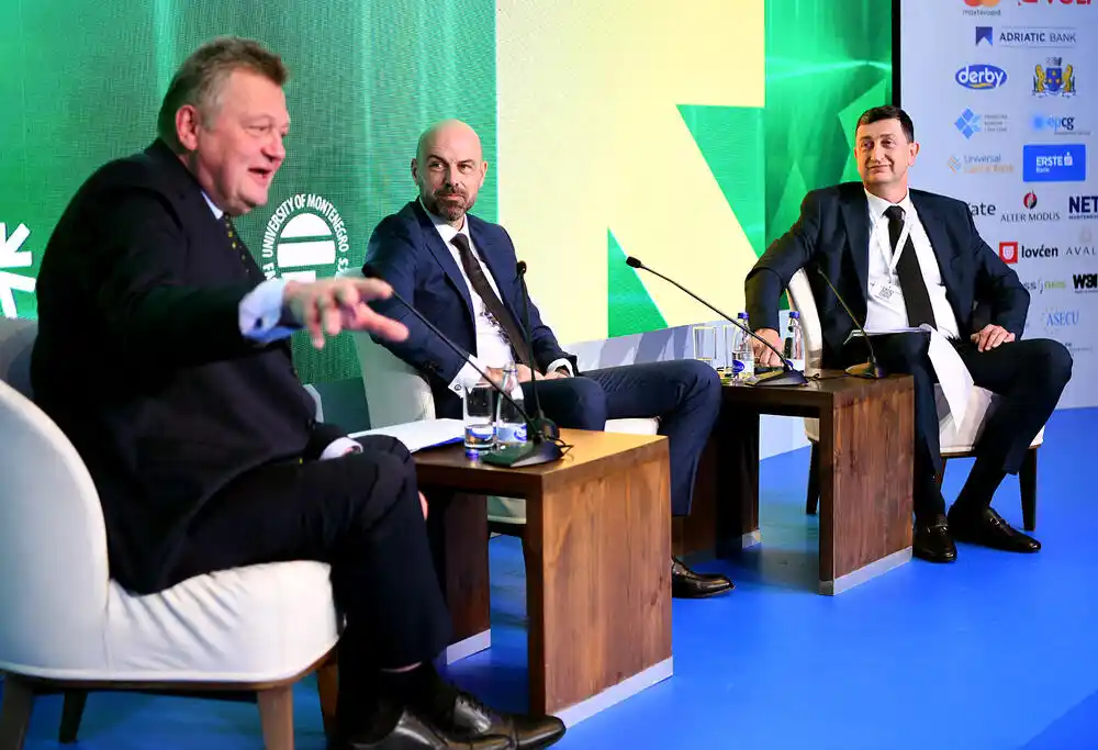 Bulatović: Energetska tranzicija mora biti strateški promišljena