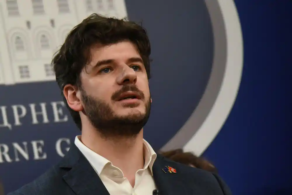 Čarapić: Venecijanska komisija nedvosmisleno zaključila da Ustavni sud nije ispunio dužnost