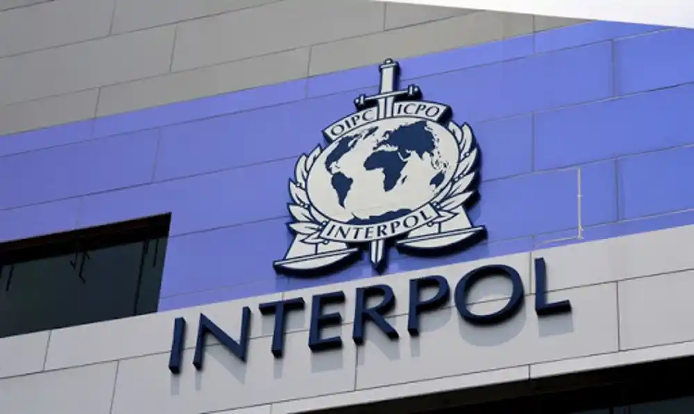 Interpol: Uhapšeno 20 osoba u 12 zemalja zbog posjedovanja dječije pornografije