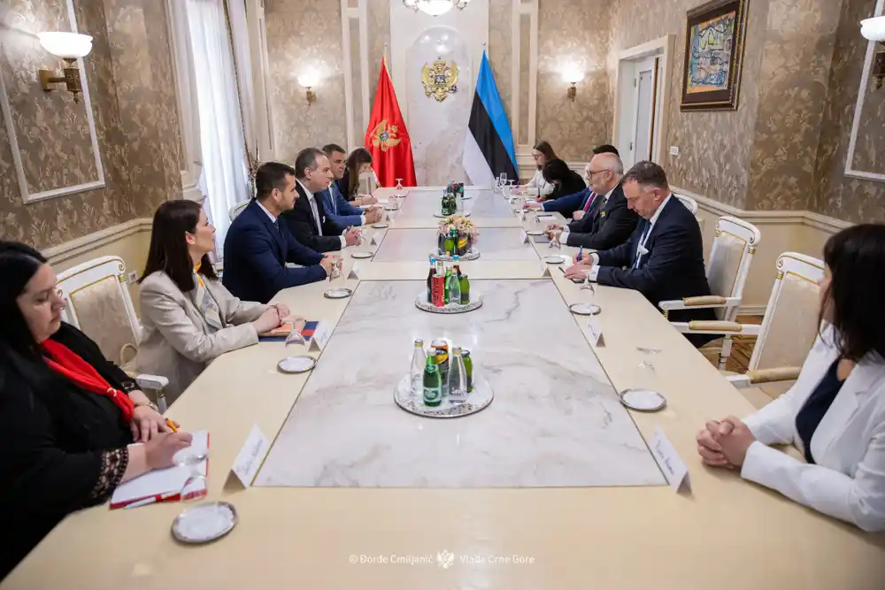 Ivanović sa predsjednikom Estonije: Snažna podrška Crnoj Gori na evropskom putu