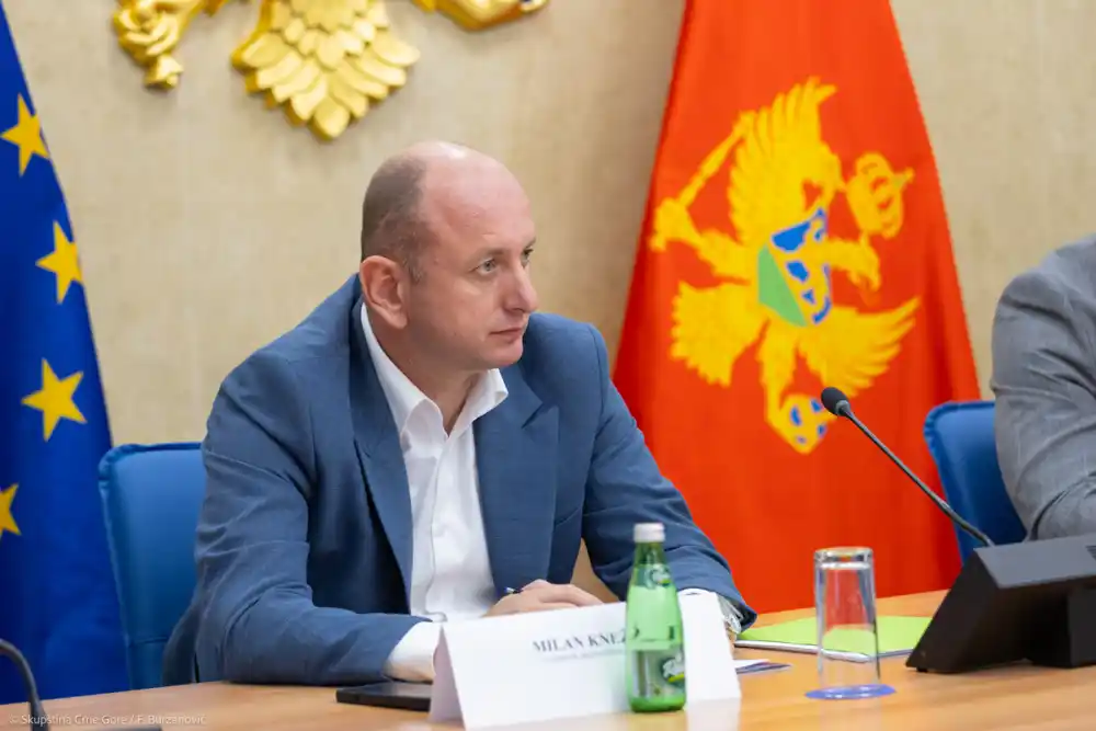 Knežević: Sedma uprava postojala i bila filijala za ubistva; Duška Jovanovića je ubila država!