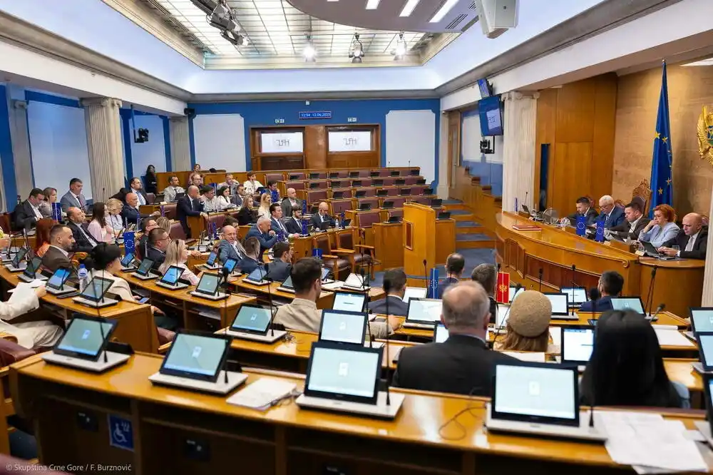 PES nema ništa, nekretnine imaju samo DPS i SNP