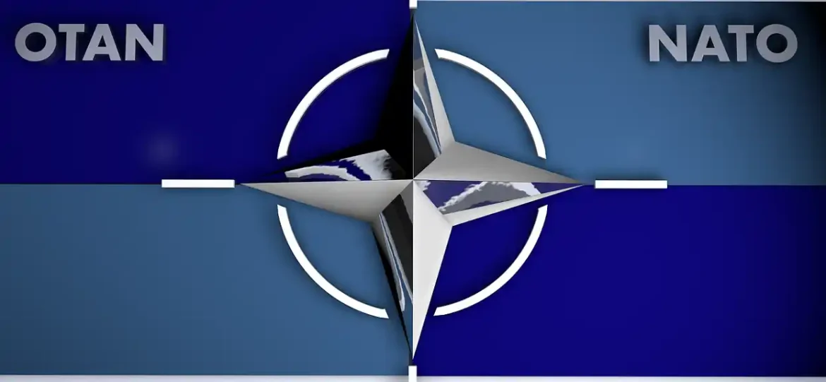 Potpukovnik američke vojske u penziji: NATO se ponaša glupo što podstiče sukob sa Rusijom
