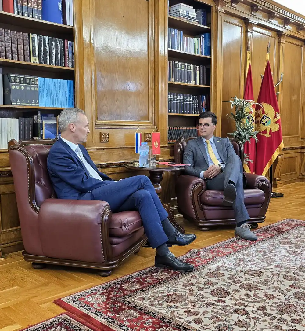 Šaranović – Elgersma: Reforma sektora bezbjednosti važna za povjerenje građana i napredak ka EU