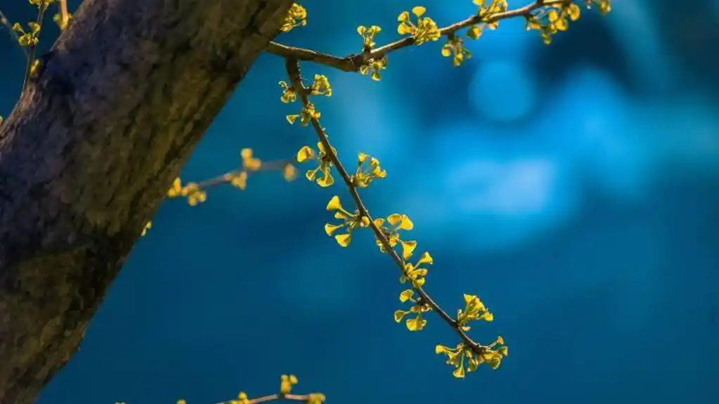 Danas sunčano i toplo, temperatura do 35 stepeni
