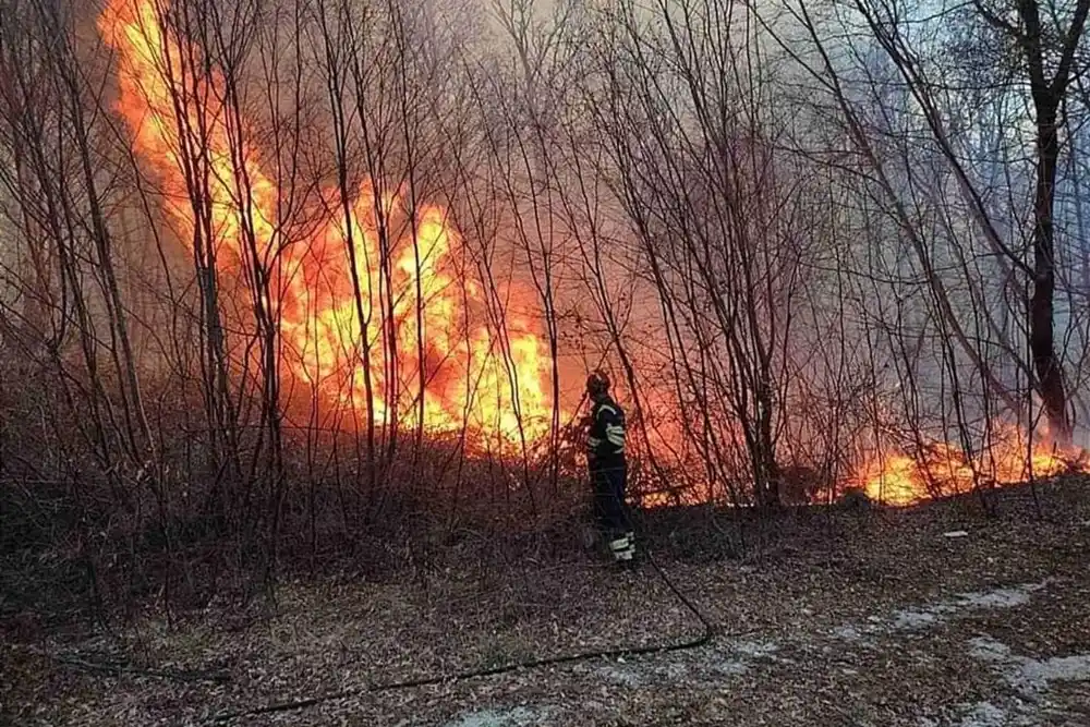 U Perastu izbio požar, vatra buknula sa trafostanice