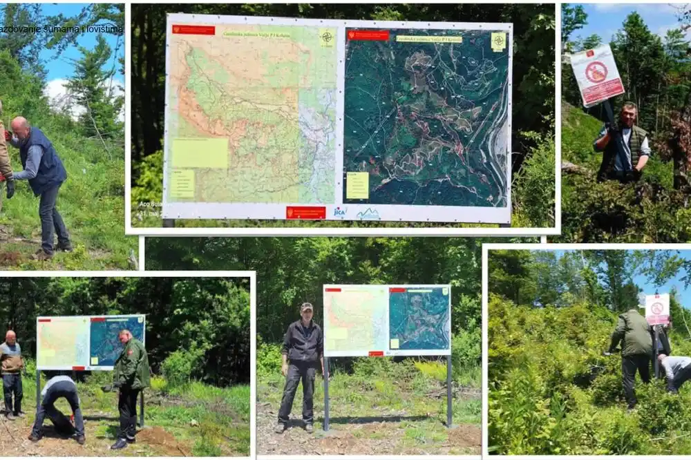 Uprava za šume: Postavljeno pet informativnih tabli u Kolašinu