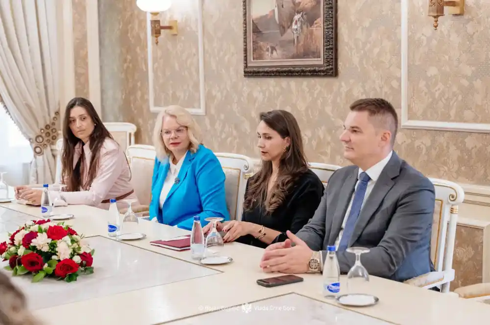 Adžović: Crna Gora bira razvoj, stabilnost i partnerstvo sa saveznicima