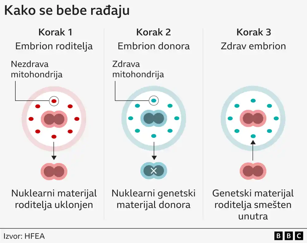 Bebe začete genetskim materijalom troje ljudi rođene bez nasljednih bolesti