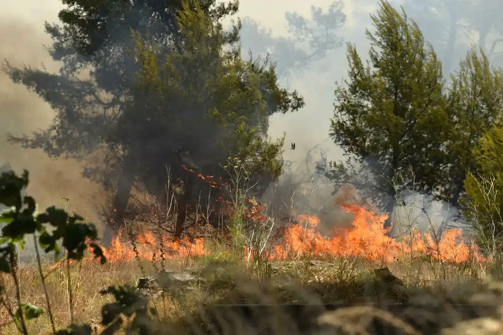 Crna Gora i dalje nema kanader: Požari širom države, vatrogasci na terenu bez predaha