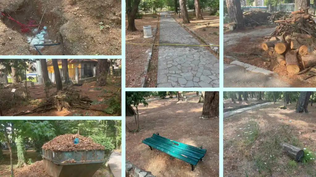 Jovanović: U Gradski park u Tivtu uloženo 400 hiljada eura – park u rasulu, neuređen i zapušten