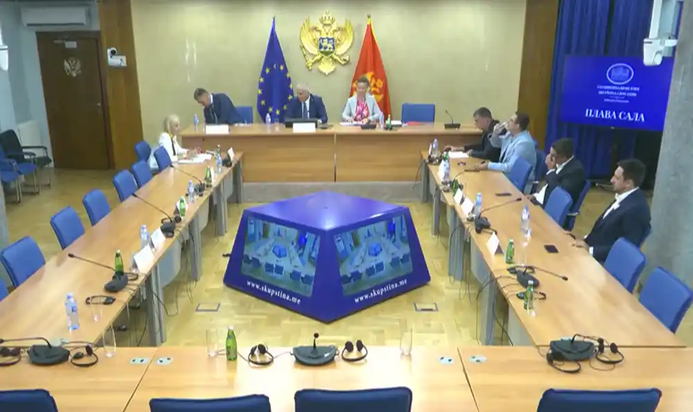 Kontrolno saslušanje Jokovića i Rajkovića