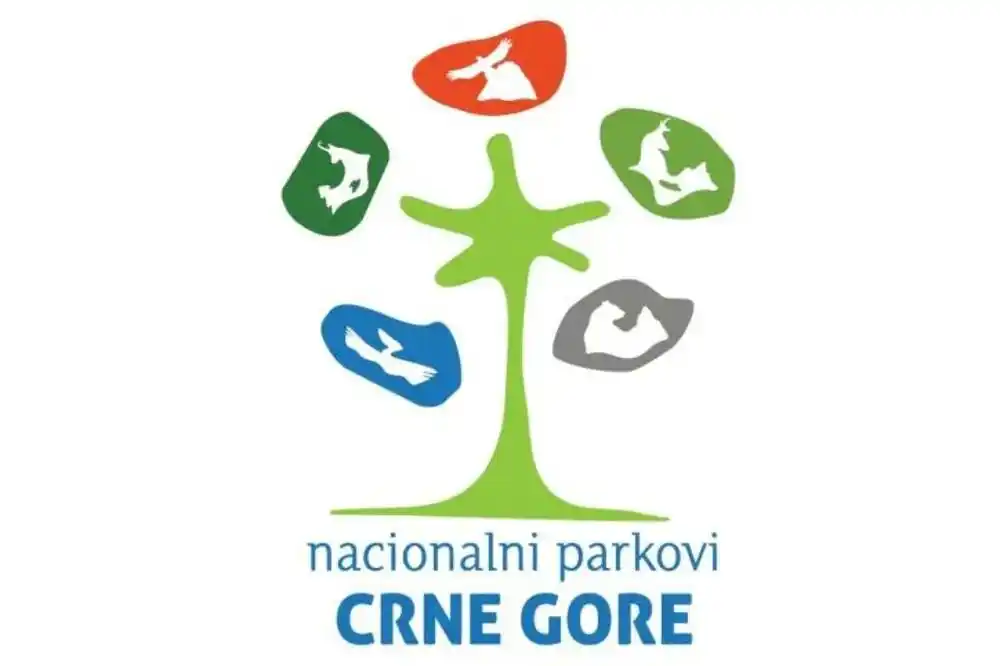 Nacionalni parkovi: U toku dana očekujemo pronalaženje rješenja za izvlačenje prevrnutog objekta na Karuču