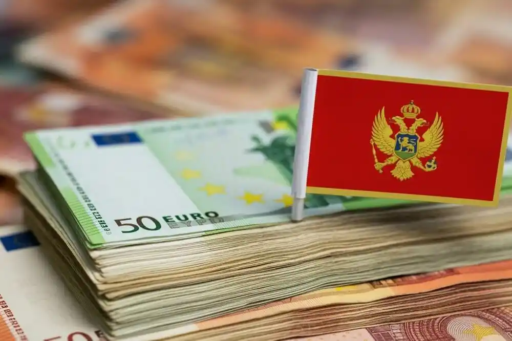 Najviše zarađuju ljekari i profesori Univerziteta