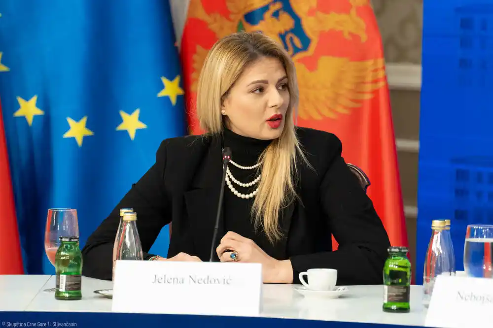 Nedović: Nepoznat rad nekih NVO