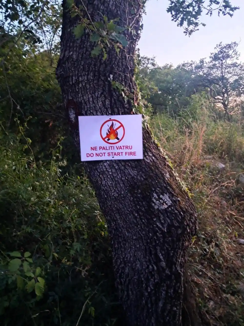 Zbog visokih tempetatura i rizika od šumskih požara vatrogasci u Tivtu uveli redovne patrole