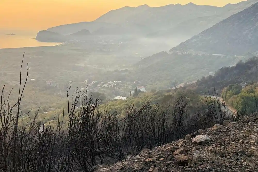 Božović: Buljarica mirna, ekipe cijelu noć i danas na terenu, gase „džepove“ koje vjetar rasplamsa