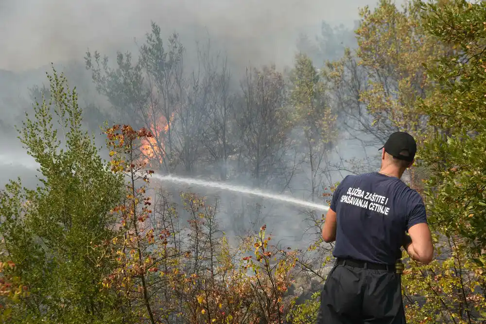 Izazovna noć za vatrogasce u Podgorici: Gorjela i Dajbabska gora, Bojanović očekuje bolje stanje danas