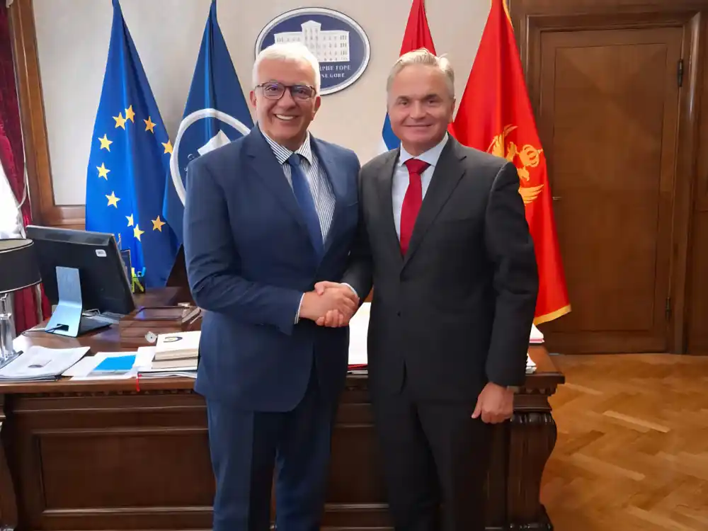 Mandić sa Bećirovićem: Skupština spremna da podrži inicijative koje doprinose jačanju međunarodne saradnje